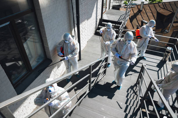 Best Post-Remediation Verification Testing  in Elizabethtown, PA