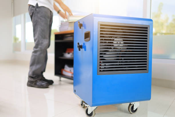 Trusted Elizabethtown, PA Mold Removal Experts